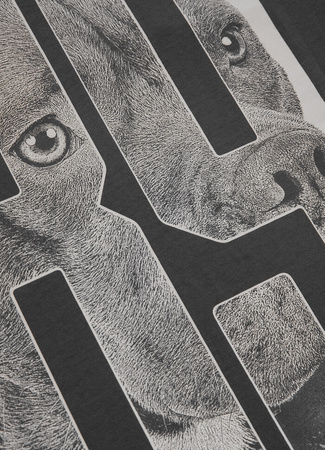 T-shirt PIT BULL EIGHTY NINE DOG grafitowy