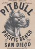 T-shirt PIT BULL Denim Washed RAW EDGE PACIFIC ultra light sand
