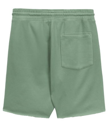 Spodenki PIT BUL LANCASTER 2 washed green
