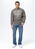 Bluza PIT BULL SO CAL taupe prosta