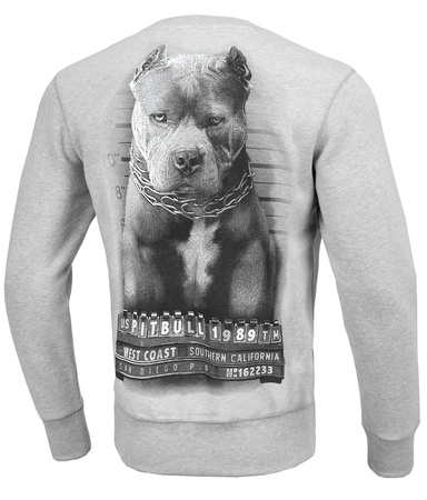 Bluza PIT BULL MUGSHOT szara prosta