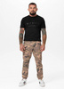 Spodnie joggery bojówki PIT BULL SCOTT camo