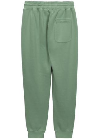 Spodnie sportowe PIT BULL WASHED LANCASTER 2 washed green