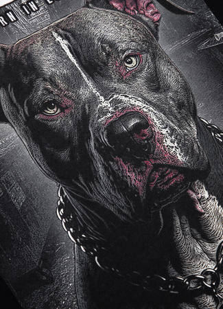 T-shirt damski PIT BULL STREET KING WMN czarny