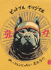 T-shirt PIT BULL Denim Washed MT.FUJI washed yellow