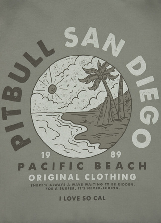 Bluza PIT BULL WASHED PLANET SURF grey harbour rozpinana