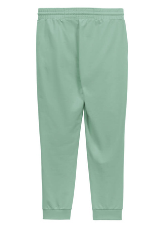 Spodnie sportowe PIT BULL Tricot Terry NUGGET light mint