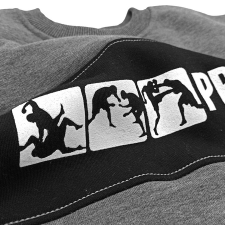 Bluza PRETORIAN FIGHT DIVISION prosta szara