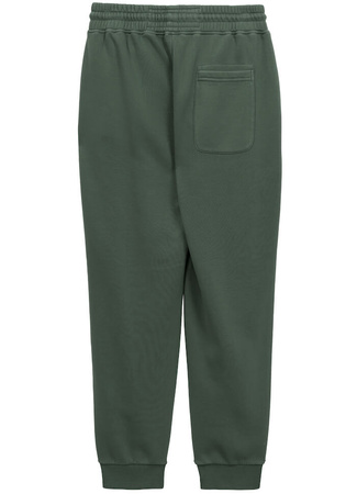 Spodnie sportowe PIT BULL WASHED LANCASTER 2 sage green
