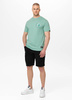 T-shirt PIT BULL  PLANET SURF miętowy (light mint)