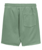 Spodenki PIT BUL LANCASTER 2 washed green
