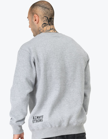 Bluza BENLEE RINSTON szara prosta