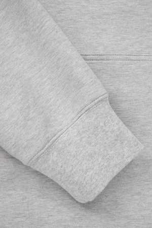 Bluza PIT BULL Tricot Terry PHYSICAL CULTURE szara kaptur