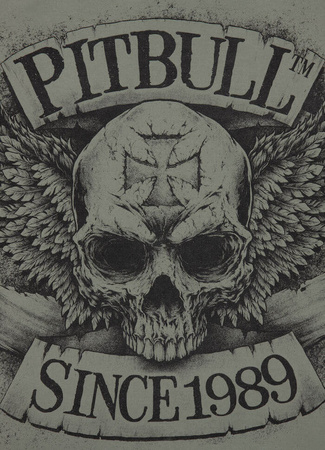 Bluza PIT BULL WASHED BITE ME grey harbour kaptur