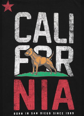 T-shirt PIT BULL CALIFORNIA czarny