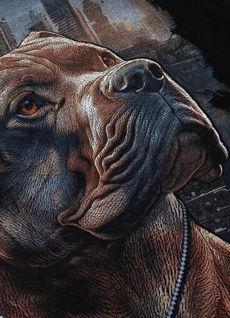 Bluza PIT BULL HERO czarna kaptur
