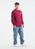 Bluza PIT BULL Tricot Terry SAN DIEGO CA bordowa prosta