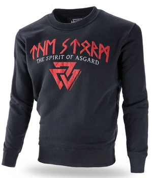 Bluza DOBERMANS ASGARD BC303 czarna prosta