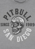 T-shirt PIT BULL T-shirt PIT BULL Denim Washed RAW EDGE SKULL LOGO grey