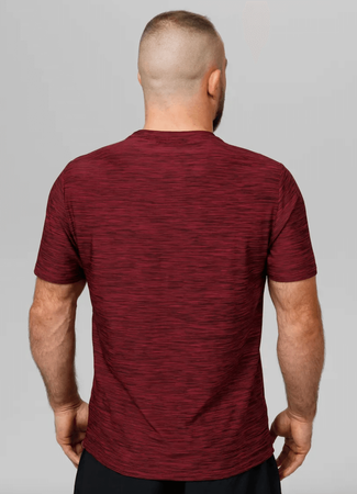 T-shirt PIT BULL SMALL LOGO CASUAL SPORT bordowy (burgundy melange)