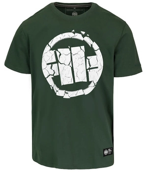 T-shirt PIT BULL Garment Washed SCRATCH 210 zielony