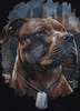 Bluza PIT BULL HERO czarna prosta