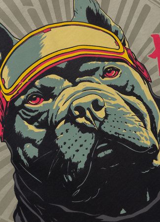 T-shirt PIT BULL MT.FUJI grey harbour