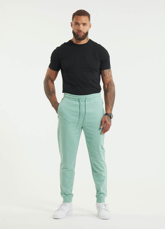 Spodnie sportowe PIT BULL Tricot Terry NUGGET light mint