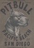T-shirt PIT BULL Denim Washed RAW EDGE PACIFIC taupe