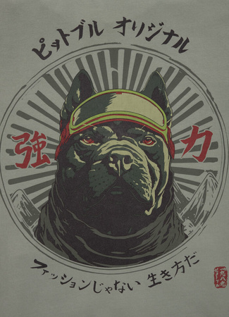 Bluza PIT BULL WASHED MT FUJI grey harbour kaptur