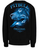Bluza PIT BULL MIDNIGHT czarna prosta