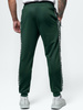 Spodnie dresowe PIT BULL OLDSCHOOL TAPE LOGO TERRY zielone (bottle green)
