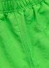 Szorty kąpielowe PIT BULL CROWNHILL zielony (fluo green)