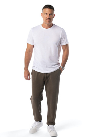 Spodnie sportowe PIT BULL SMALL LOGO HD taupe