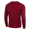 Bluza Crewneck EXTREME HOBBY TYPOGRAPHY czerwony