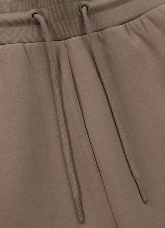 Spodnie sportowe PIT BULL SAMPSON taupe