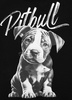 T-shirt damski PIT BULL PUPPY WMN czarny