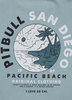 Bluza PIT BULL WASHED PLANET SURF light blue prosta