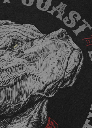 Bluza PIT BULL STRENGTH & RESPECT dark graphite rozpinana