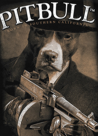 T-shirt PIT BULL TOMMY GUN czarny