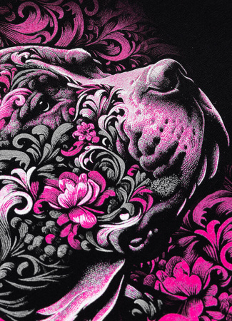 Damska bluza PIT BULL TATTOO WMN czarna kaptur
