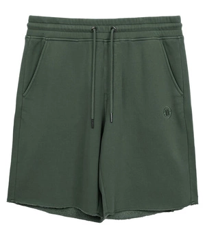 Spodenki PIT BUL LANCASTER 2 sage green