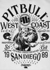 T-shirt PIT BULL Garment Washed SAN DIEGO 89 210 biały