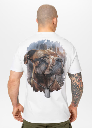 T-shirt PIT BULL HERO biały