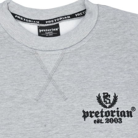 Bluza PRETORIAN EST.2003 prosta szara