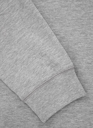 Longsleeve PIT BULL HILLTOP spandex 210 szary