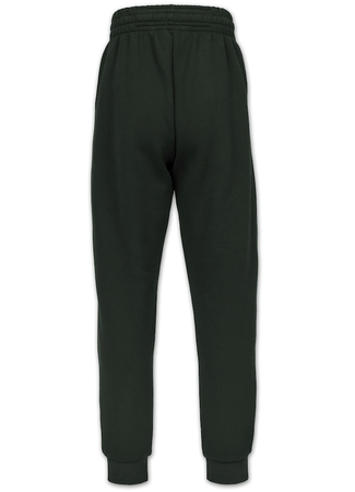 Spodnie sportowe PIT BULL HATTON zielone (dark green)