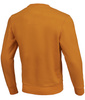 Bluza PIT BULL SMALL LOGO TERRY musztardowa prosta