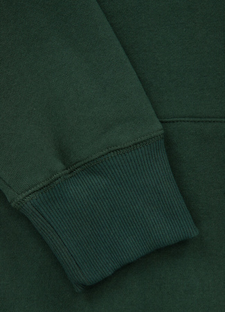 Bluza PIT BULL SMALL LOGO ciemnozielona (dark green) kaptur
