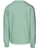 Bluza PIT BULL Tricot Terry TAPE NUGGET miętowa (light mint) prosta